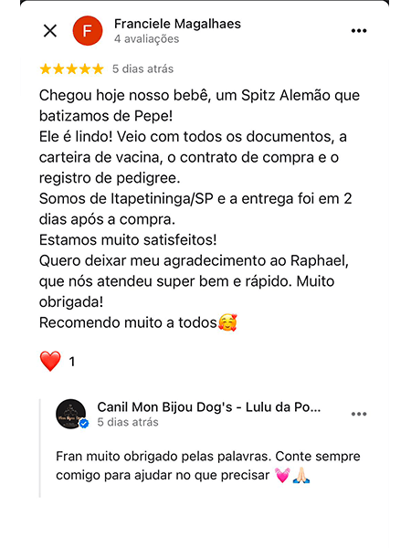 spitz